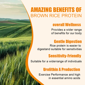 Cápsulas de Urolithin A de Alta Calidad, Proteína de Arroz Integral, Apoya el Rendimiento en el Ejercicio, Resistencia y Fuerza, Cápsulas Veganas - Product Image 5
