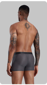 <b>Mesh</b> Ice Silk <b>Men's</b> <b>Underwear</b> Graphene Antibacterial Crotch Breathable <b>Mesh</b> Quadrangle Pants Youth <b>Men's</b> Shorts - Product Image 6
