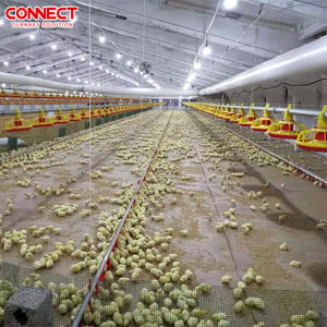 Équipement <span class=keywords><strong>d</strong></span>'élevage <span class=keywords><strong>d</strong></span>'animaux de ferme, fenêtre <span class=keywords><strong>d</strong></span>'<span class=keywords><strong>entrée</strong></span> <span class=keywords><strong>d</strong></span>'<span class=keywords><strong>air</strong></span> de ventilation en plastique blanc à ventilation latérale, vente chaude personnalisée - Product Image 4