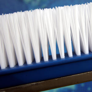 <span class=keywords><strong>Kit</strong></span> <span class=keywords><strong>de</strong></span> <span class=keywords><strong>limpieza</strong></span> <span class=keywords><strong>de</strong></span> equipo <span class=keywords><strong>de</strong></span> piscina personalizado OEM cepillo <span class=keywords><strong>de</strong></span> plástico <span class=keywords><strong>de</strong></span> 18 "a la <span class=keywords><strong>venta</strong></span> - Product Image 6