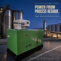 Générateur diesel 220 KW triphasé avec contrôleur intelligent pour centrale électrique