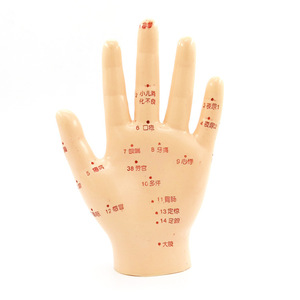 Modèle d'acupuncture manuelle 13 cm, points de réflexologie, outil d'entraînement du corps humain - Product Image 3