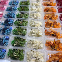 Coffret de Fleurs Séchées Stabilisées pour Art en Résine DIY, Mélange de Fleurs Séchées Naturelles Multicolores en Vrac, Kits de Matériaux