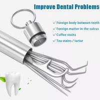 Ensemble de cure-dents portable en acier inoxydable pour le nettoyage buccal Fil dentaire réutilisable pour la soie dentaire et le nettoyage