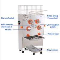 Elektrische sapcentrifuge met hoge productiviteit voor sinaasappelsap, te koop, geschikt voor fruitverwerkingsbedrijven en limonadeproductie.