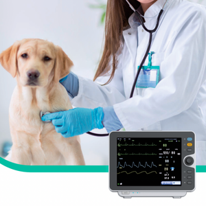 China Wholesale Dog Veterinary Patient Monitor 12-inch Color TFT Screen WiFi <strong>Connectivity</strong> 8000 NIBP Measurements for Hospitals - Product Image 5