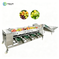 Industriële grote multifunctionele fruit- en groentesorteermachine voor droog en vers fruit, inclusief drakenvruchtensorteerder