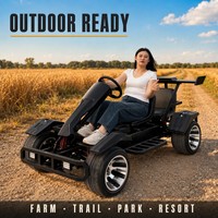 Kart électrique deux places, autonomie 50 km, roues en aluminium de 10 pouces, pour loisirs en plein air, parcs et fermes