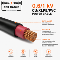 Câble d'alimentation souterrain 0,6/1KV N2XY YJV 2, 3, 4 ou 5 conducteurs 16mm 25mm 35mm 95mm 120mm 150mm Cuivre CU/XLPE/PVC YJV