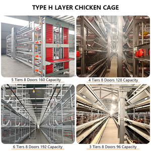 Jaula de batería tipo H completamente automática de 3 y 4 niveles <span class=keywords><strong>para</strong></span> <span class=keywords><strong>gallinas</strong></span> ponedoras en granjas avícolas, ideal <span class=keywords><strong>para</strong></span> <span class=keywords><strong>gallinas</strong></span> de corral. - Product Image 3