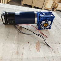 Motor DC Worm Gear 12V 24V Torsi Tinggi 300RPM Motor Gearbox Listrik untuk Peralatan Industri