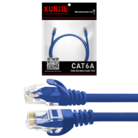 Penjualan pabrik LSZH CAT6A U/UTP kabel Patch jaringan RJ45 Cat6A kabel Patch kunci Ethernet dalam 1M & 5M panjang FTP & tipe SFTP