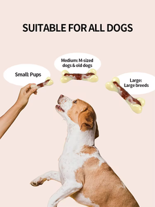 AFP Langlebiger Stress abbau Haustier Hund Kauen Knochen Rindfleisch Speck Geschmack Natur kautschuk Hund Kauen Knochen Spielzeug Für Aggressive Chewers - Product Image 6