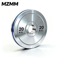 Plaques de poids en acier massif chromé de 5 kg à 25 kg, réglables et portables pour l'entraînement de force commercial