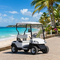 Voiturette de golf électrique 2 places 60V 100Ah avec batterie gel, propulsion arrière, frein à tambour, moteur AC 3kW, autonomie 90km, faible MOQ, direct usine