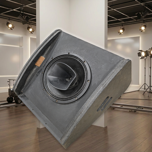 LS3 Coaxial 12-inch Monitor Speaker 250W/400W 8 Ohm Impedance XLR/Speakon Connectivity Wood Shell Floor Standing Mono 3-Year