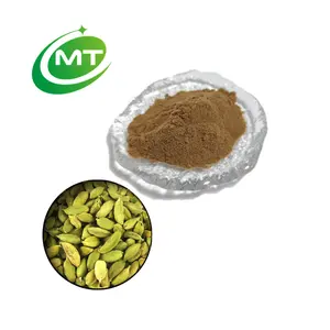 Cardamomo Verde Pó ISO Fornecimento De Fábrica Em Massa 100% Puro Venda Quente Amostra Grátis Orgânico Verde Cardamomo Extrato Em Pó