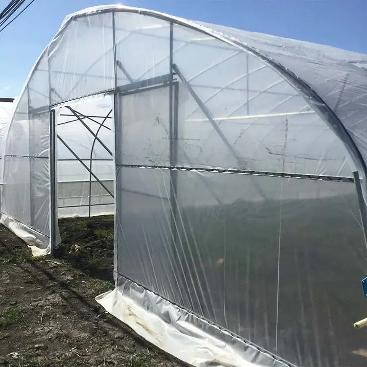 Precio de fábrica Agricultura comercial Fácil instalación invernadero tomate multi-Span Película plástica Casa verde Policarbonato