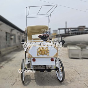Charrette électrique de tourisme classique de style victorien, chariot sans chevaux vintage pour les visites panoramiques de villes historiques et les mariages - Product Image 2