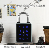 Cadenas intelligent en acier inoxydable 304 haute sécurité, application TTlock Cloud pour déverrouillage par carte/clé/mot de passe
