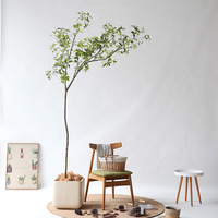 Arbre artificiel en pieris japonica vert PE 205-218 cm, plante en pot réaliste et écologique pour la décoration intérieure et extérieure