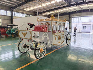 Charrette royale électrique de luxe à batterie, 4 roues, véhicule de transport pour mariage avec éclairage d'ambiance LED - Product Image 5