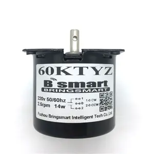 Bringsmart 220v 60KTYZ 14W 2.5-110rpm AC permanent magnet synchronous gear motor for egg incubator, BBQ etc
