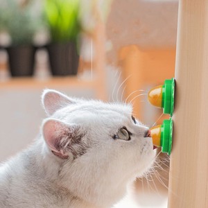 Mới đến khỏe mạnh mèo xử lý chất dinh dưỡng chất rắn mèo đồ ăn nhẹ liếm tốt <span class=keywords><strong>catnip</strong></span> Lollipop kẹo năng lượng bóng hoàn hảo snack cho - Product Image 3
