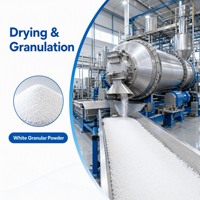 Polyacrylamide Cationique pour la Déshydratation des Boues, Agent de Traitement des Eaux Usées, Floculant en Poudre Haute Efficacité, Pureté 99%, pH 5.0-7.0