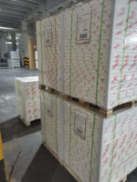 Papier offset sans bois NEVIA, papier bond, emballage en rame, de l'usine Gold East Paper, 300 g/m²