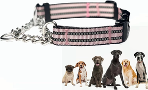 Collar de Adiestramiento para Perros NiBao Personalizado, Reflectante, Resistente, de Acero Inoxidable, Tipo Martingala - Product Image 5