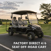 Nouvelle voiturette de golf électrique 2 places, vitesse 30-50 km/h, véhicule utilitaire, batteries au lithium-plomb 48V, autonomie 70-90 km, certifiée CEE, voiturette de club