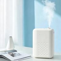 Diffuseur d'huiles essentielles sans eau portable à fixer au mur avec grande capacité