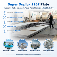 Plaque Super Duplex DIN 17440 1.4410 2507 de 15 mm à 45 mm pour les boîtiers de traitement des déchets environnementaux