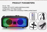 Altavoz de Karaoke GY-1024, Bafle Bluetooth, Haut-Parleur con Micrófono, Altavoz de Karaoke para Fiestas al Aire Libre con Micrófono y Bluetooth