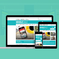 Mejor Empresa de Desarrollo de Sitios Web al por Mayor en India |   Servicios de Diseño y Desarrollo Web B2B Ganadores de Premios de Webroot