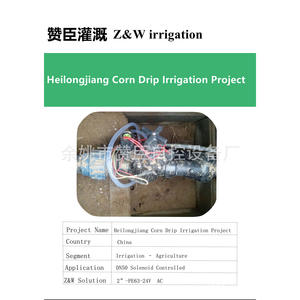 Válvula Solenoide ZW 220V AC para Control de Flujo de Agua en Sistemas de Riego Agrícola - Product Image 3