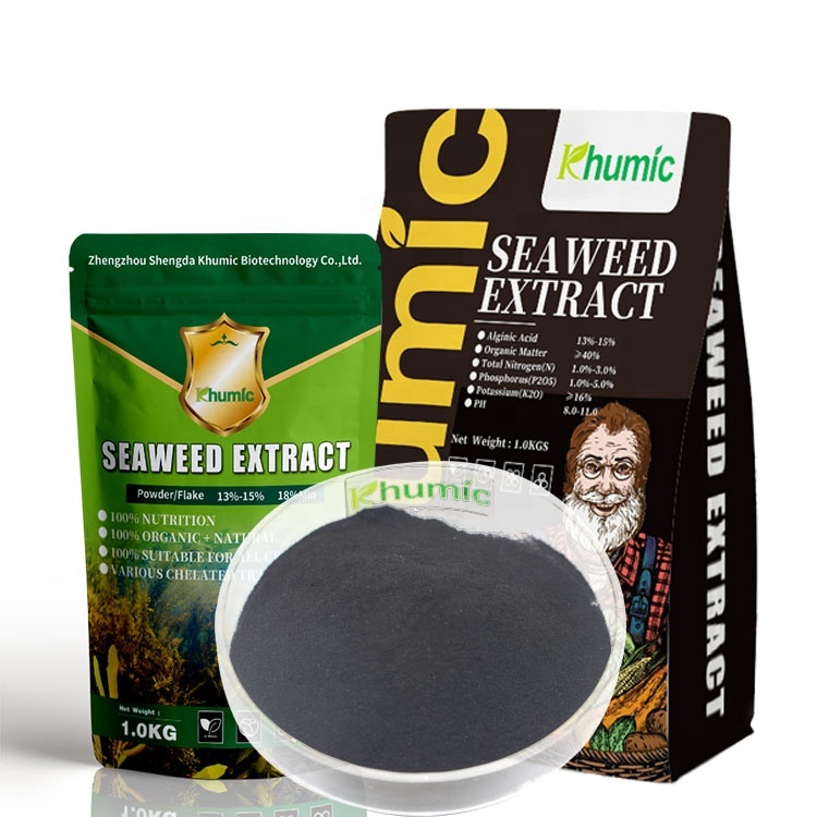China Hydroponic Fertilization Seaweed Extract Plant
