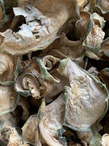 Calabacín seco al mejor precio al por mayor de exportación CALIENTE de productos agrícolas de Vietnam - Product Image 5