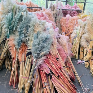 High Quality Wedding Decorative Green White Pampas Decor Large Fluffy Natural Dried Pampas Grass <strong>for</strong> <strong>Sale</strong> - Product Image 5
