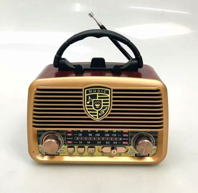 RX-BT1110 Portable Multi Band Home Radio Fm Am Sw Radio With Led Light Wireless Speaker Rechargeable Battery Radio