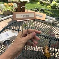 Étiquettes de plantes en acier inoxydable robustes Étiquettes de marquage d'identification de pot de jardin extérieur Marqueurs de pétales pour plantes