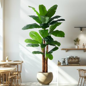 <span class=keywords><strong>Grand</strong></span> <span class=keywords><strong>pot</strong></span> d'herbe artificielle en plastique PE <span class=keywords><strong>pour</strong></span> les décorations d'hôtels Banyan Tree Banana Bird Paradise Olive Leaf Clover Plantation - Product Image 2