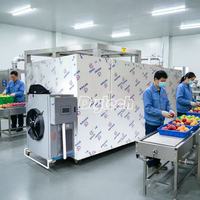 Déshydrateur industriel très populaire auprès du public – Machine à sécher les fruits