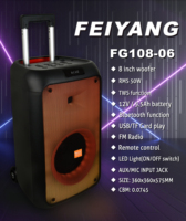 Speaker Audio Portabel Feiyang Private MOULD Guitar OUTDOOR Terbaik untuk DJ Rumahan, Bass Single 8 Inch Jb LED Rod Bt TWS USB MOBILE