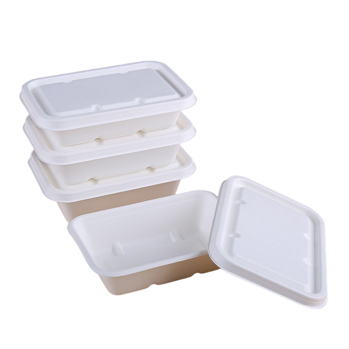 Disposable 750ml Paper Packaging Salad Bowl to Go Cups Paper Soup Containers with Lid
