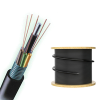 48 Core G.652D Outdoor GYTS Cable de fibra óptica de modo único aéreo con chaqueta PE 10 años de garantía 3 km/rollo
