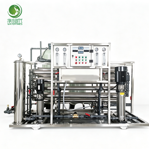 Purificateur d'eau commercial à double étage avec débit personnalisé pour la production en usine alimentaire et de boissons 0,25 t/h – Nous fournissons des modèles simples et doubles - Product Image 2