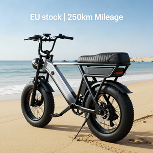Nouveau vélo électrique à pneus larges en acier, moteur 48V 500W, batterie 20Ah, autonomie 210 km, freins à disque hydrauliques, Shimano 7 vitesses, charge 120 kg, <span class=keywords><strong>neige</strong></span> - Product Image 1