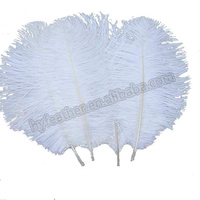 Plumes d'autruche colorées en gros pour la décoration de tables de mariage et de fêtes